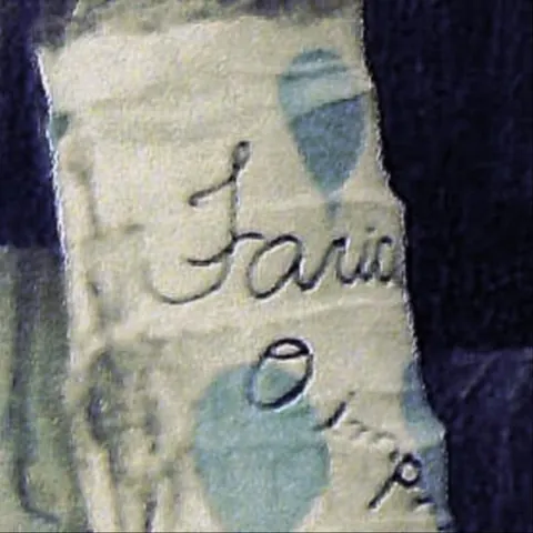 Homenagem pintada no coqueiro: Faria, o importante é que emoções você viveu
